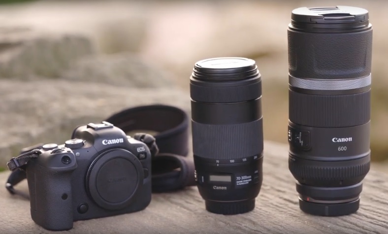 Video: Fotoškola s Canonem – jak fotit zvířata v ZOO Fotoškola s Canonen - jaké objektivy zvolit