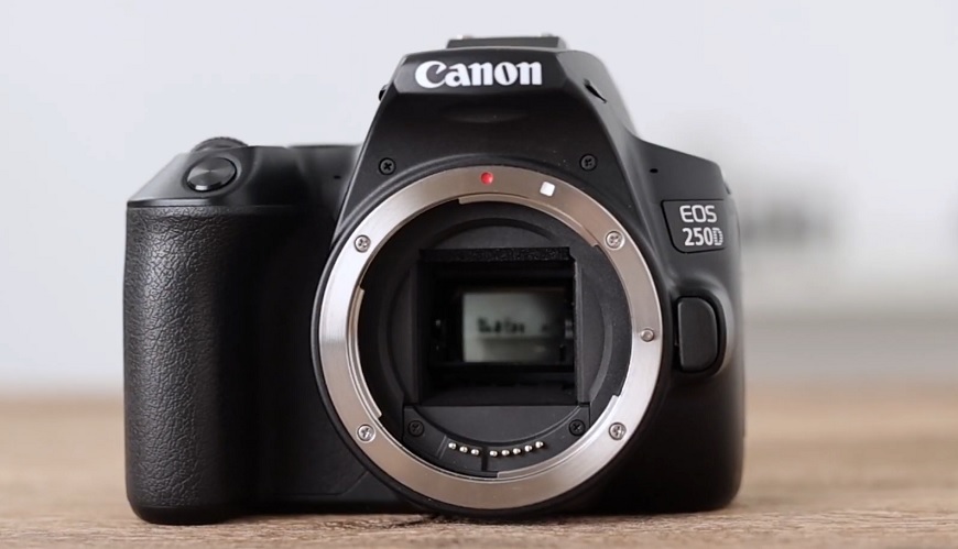 Video: Fotoškola s Canonem - TOP foťáky pro rok 2020 Canon EOS 250D