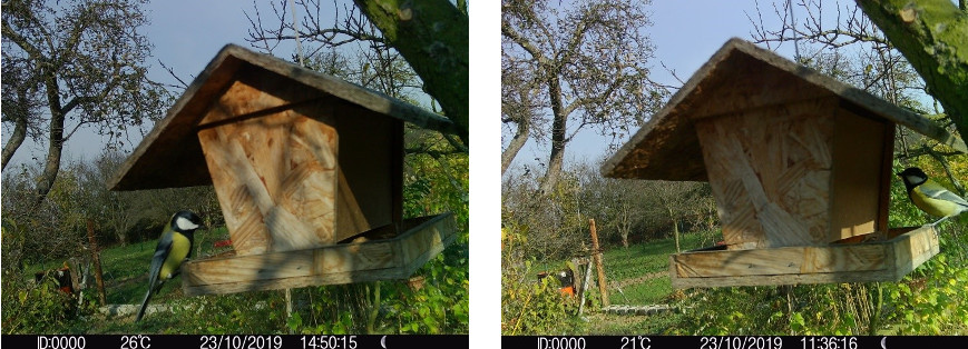 APEMAN: outdoorové produkty lákají super cenou i funkcemi fotopast Apeman H70