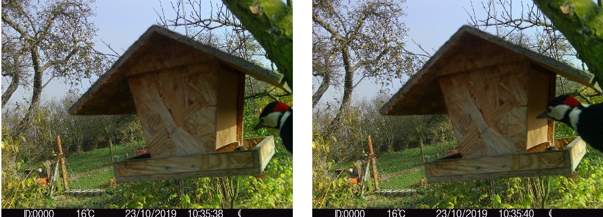 APEMAN: outdoorové produkty lákají super cenou i funkcemi fotopast Apeman H70