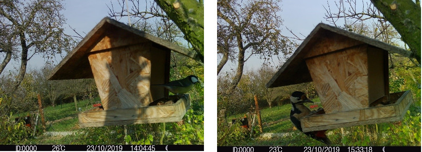 APEMAN: outdoorové produkty lákají super cenou i funkcemi fotopast Apeman H70
