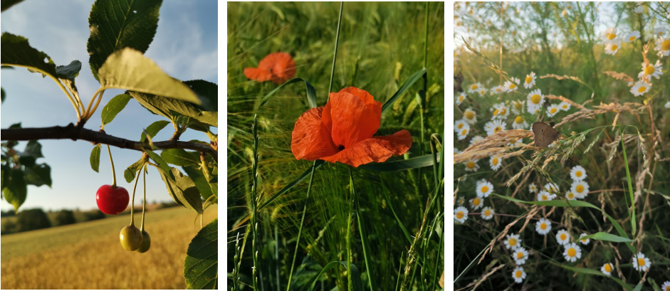 Recenze Huawei P30: Fotoaparát v hlavní roli mobilní telefon Huawei P30