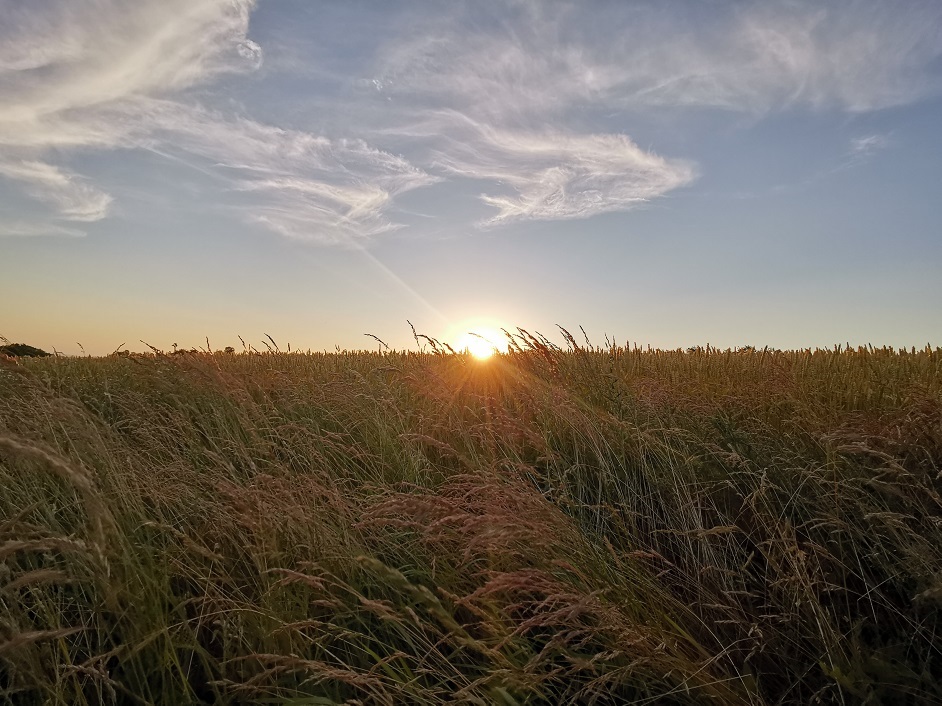 Recenze Huawei P30: Fotoaparát v hlavní roli mobilní telefon Huawei P30