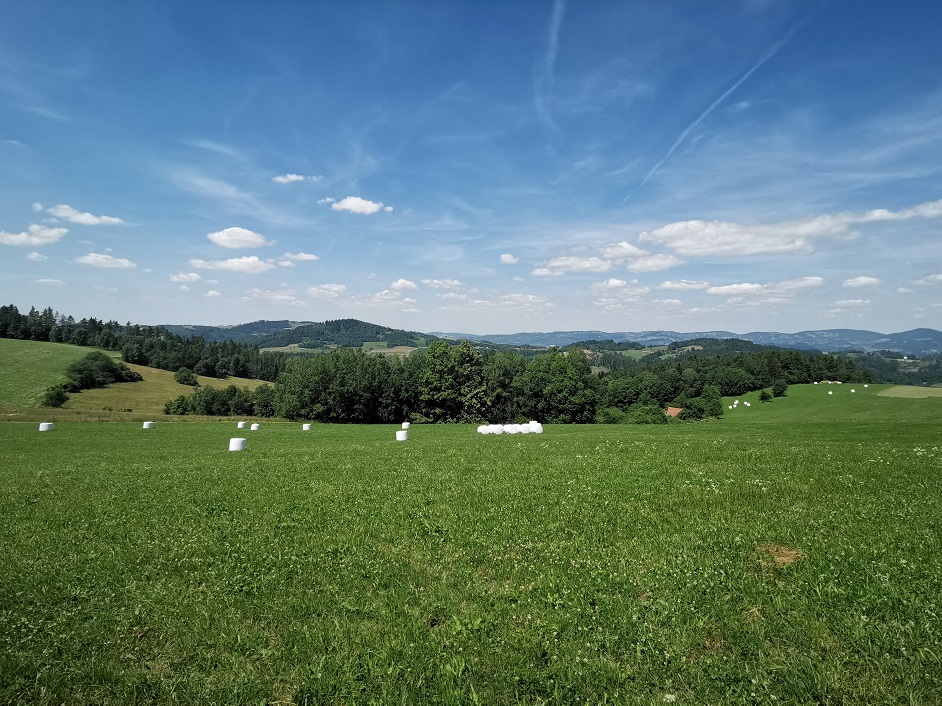 Recenze Huawei P30: Fotoaparát v hlavní roli mobilní telefon Huawei P30