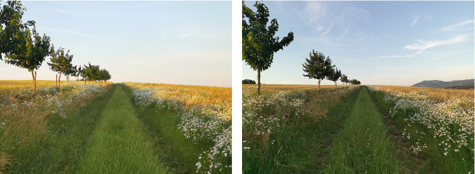 Recenze Huawei P30: Fotoaparát v hlavní roli mobilní telefon Huawei P30