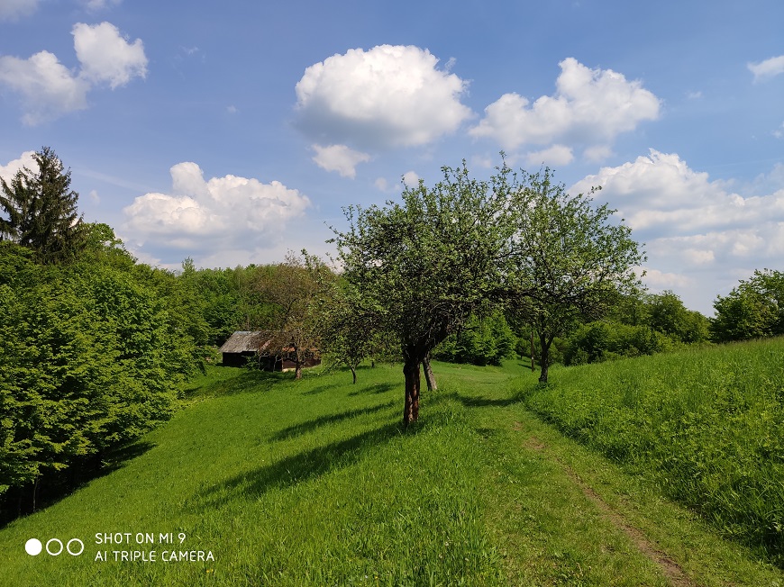 Recenze Xiaomi Mi 9: TOP smartphone za výbornou cenu mobilní telefon Xiaomi Mi 9