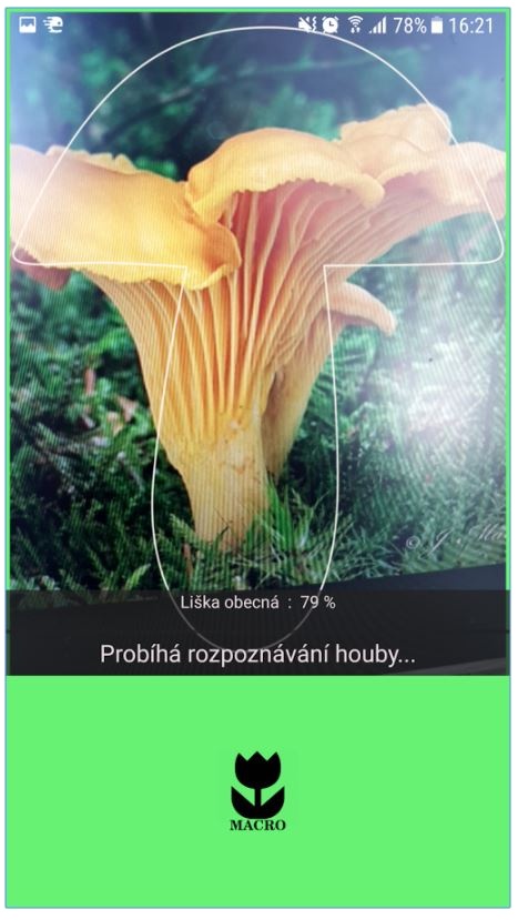 aplikace na houby android