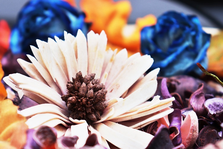 Canon EOS 200D
