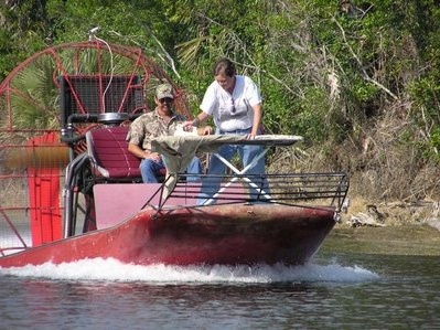 Extrémní žehlení: co bude příště? Extreme ironing