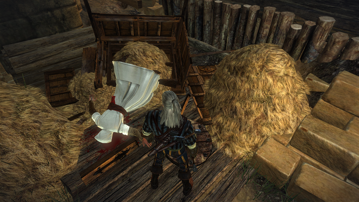 Assassins Creed easter egg