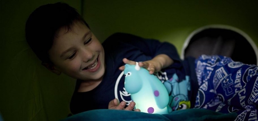 Sulley