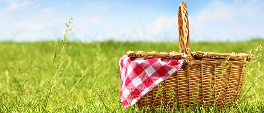 Apetit piknik, LG a 1000 Kč poukázky do DATARTu! Piknik