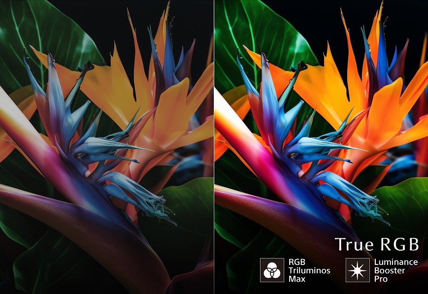 Sony True RGB mění obraz televizorů! Jak funguje nové RGB LED podsvícení? Sony True RGB Luminance Booster Pro