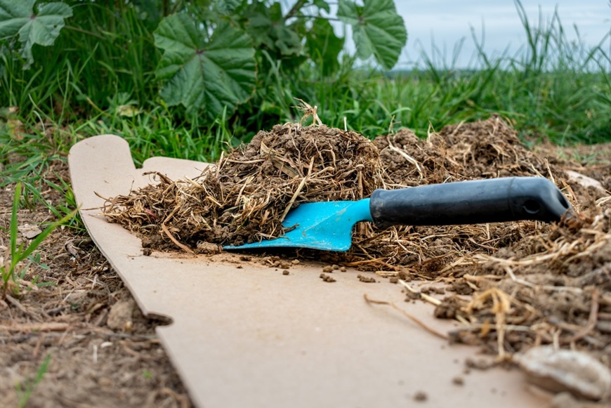 ☘️Eco-friendly zahrada: Jak správně mulčovat záhony kartonem Karton, hlína a lopatka připravena k mulčování záhonu