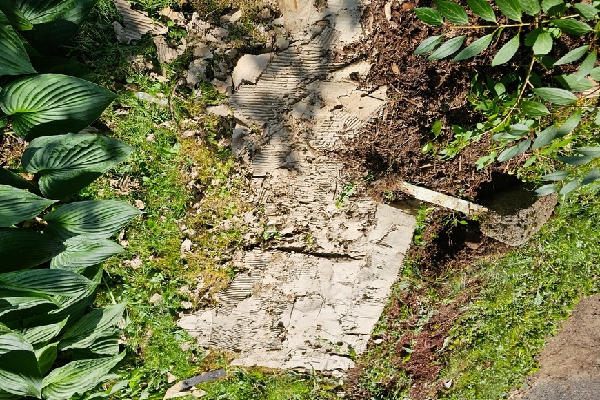 ☘️Eco-friendly zahrada: Jak správně mulčovat záhony kartonem Mulčování kartonem v záhoně