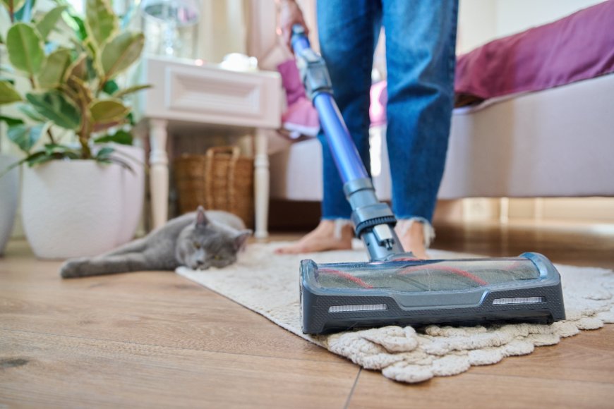 Jak vybrat tyčový vysavač? Detail na hubici tyčového vysavače přejíždějící koberec. V pozadí na podlaze leží kočka a dívá se na vysavač.