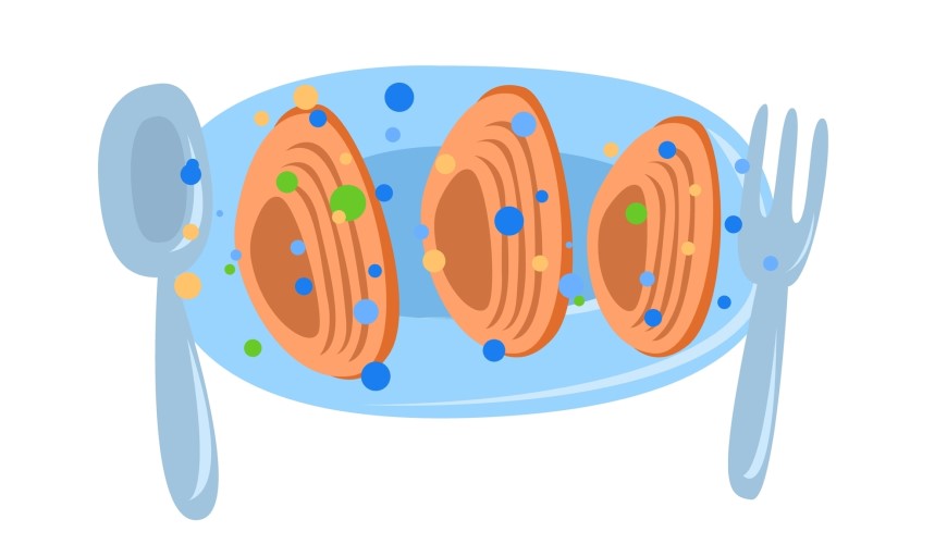 Mikroplasty v kuchyni: Kde se s nimi setkáváme a jak je omezit Ilustrace mikroplastů v jídle