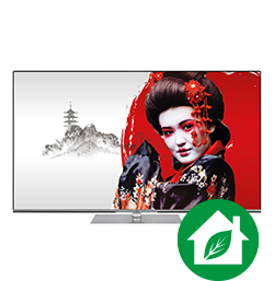Televize